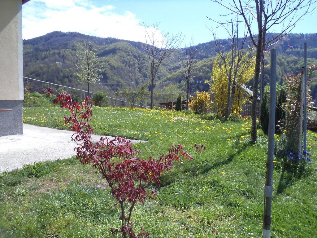 Apartments Petrin Tolmin Exterior foto